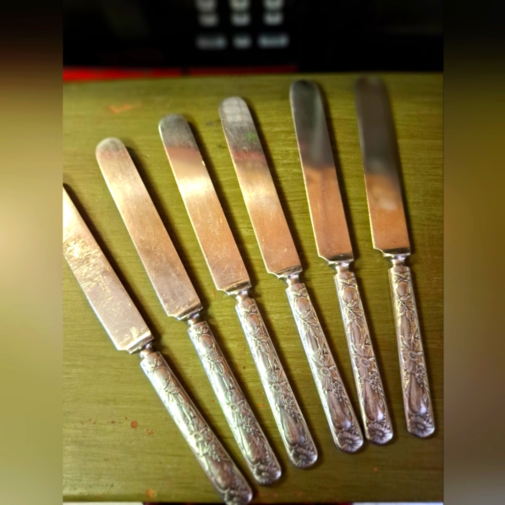 Wallace Silversmiths "FLORAL" 1902 Solid Handle Dinner Knives 9 3/8" Set Of 6 Ex